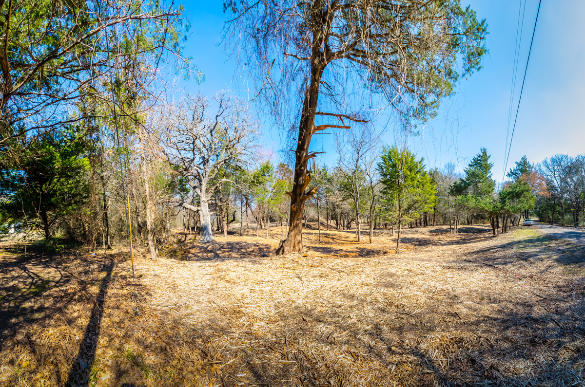 DSC_0596-Edit