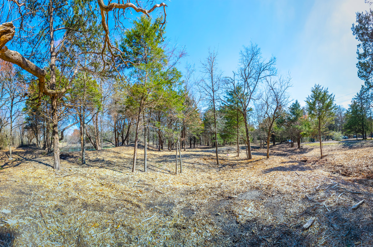 DSC_0607-Edit