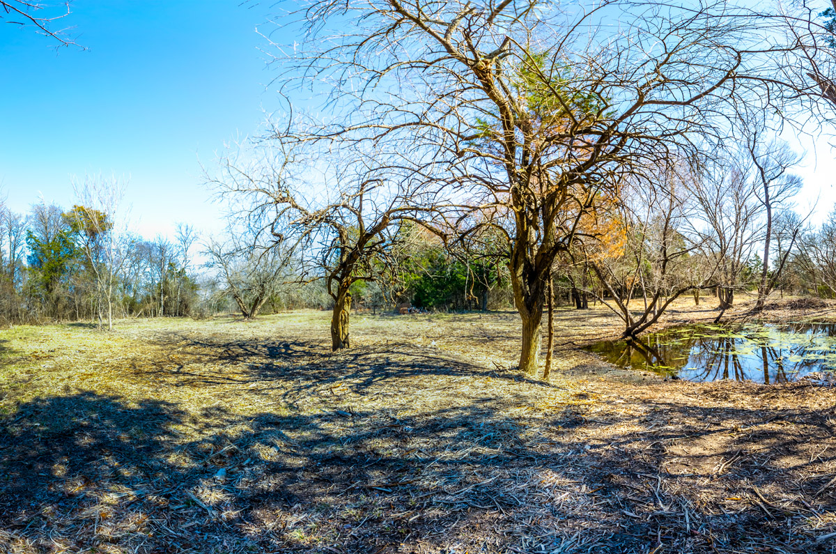 DSC_0629-Edit