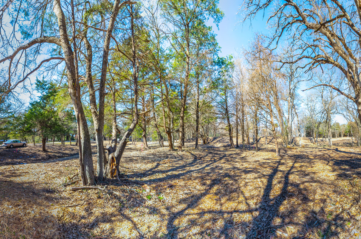 DSC_0731-Edit