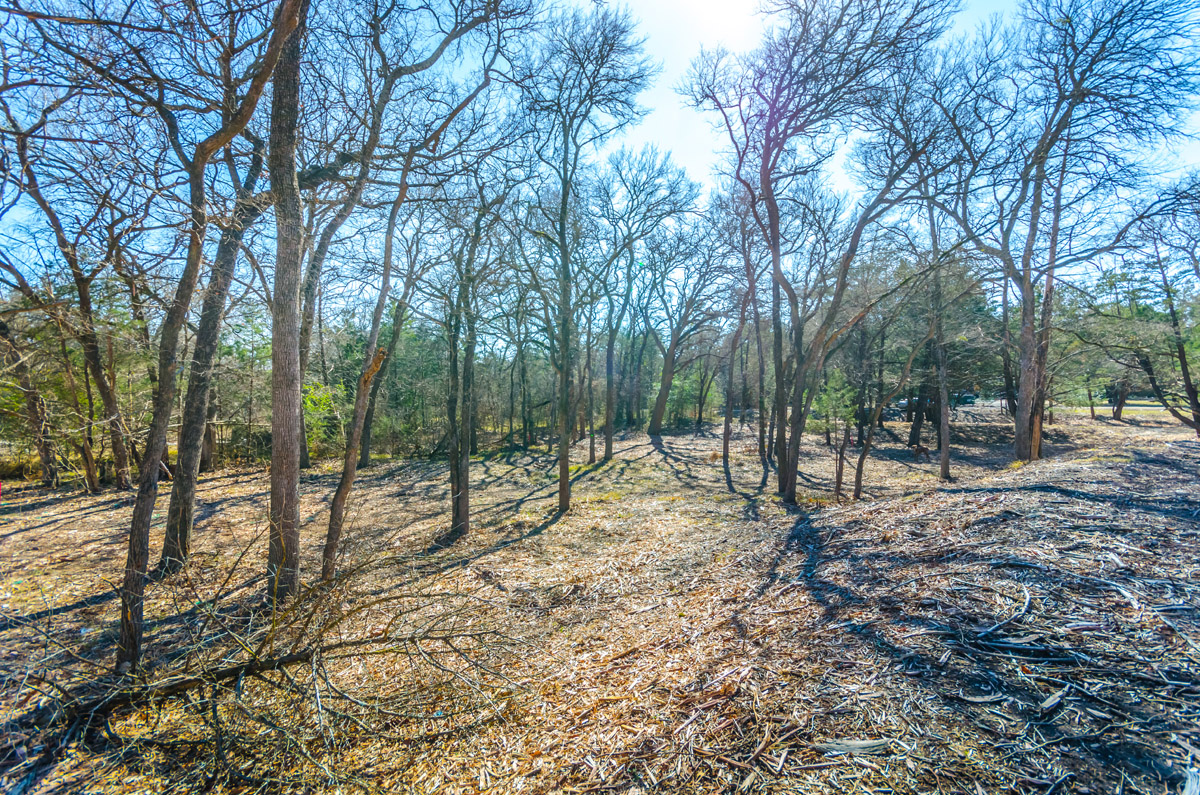 DSC_0744