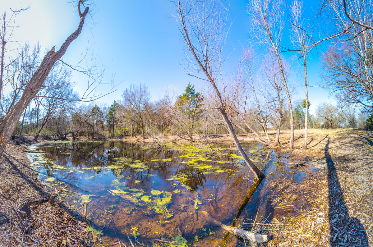 DSC_0749-Edit